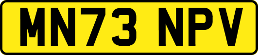 MN73NPV