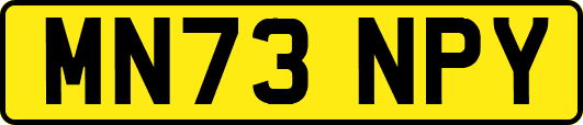 MN73NPY