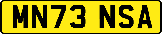MN73NSA