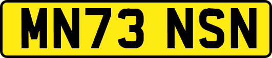 MN73NSN