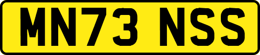 MN73NSS