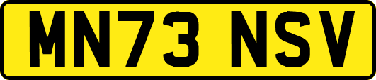 MN73NSV