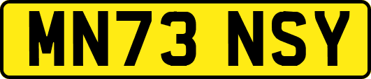 MN73NSY