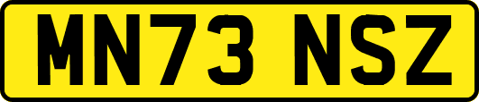 MN73NSZ
