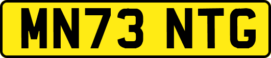 MN73NTG