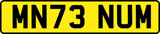 MN73NUM