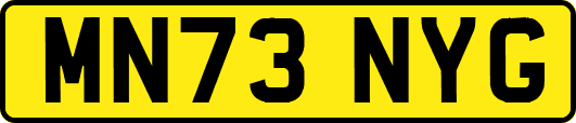 MN73NYG