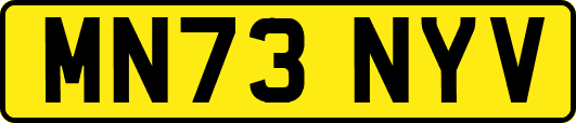 MN73NYV