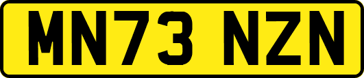 MN73NZN