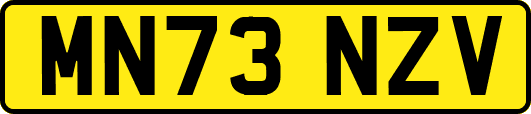 MN73NZV