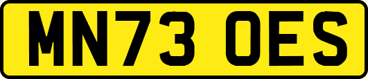 MN73OES