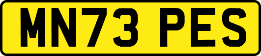 MN73PES
