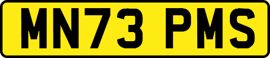 MN73PMS