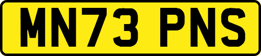 MN73PNS