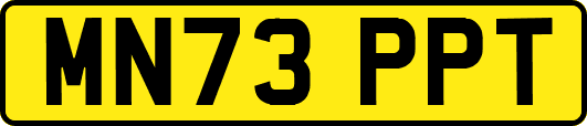 MN73PPT