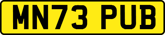 MN73PUB