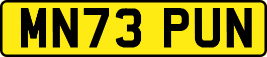 MN73PUN