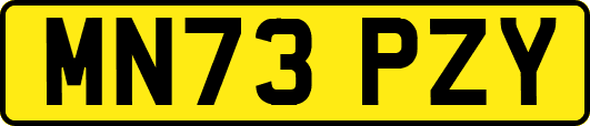 MN73PZY