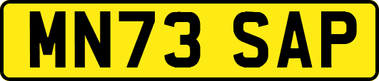 MN73SAP