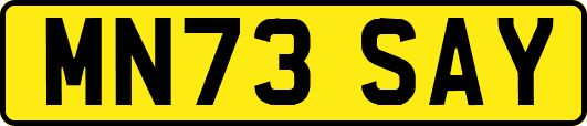 MN73SAY