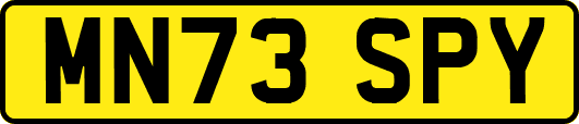 MN73SPY