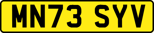 MN73SYV