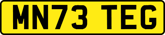 MN73TEG