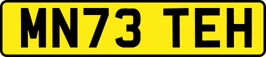 MN73TEH