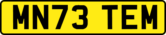 MN73TEM