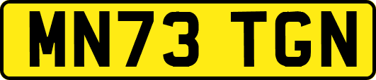 MN73TGN