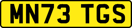 MN73TGS