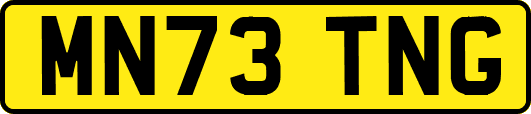 MN73TNG