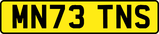 MN73TNS