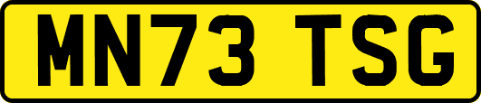 MN73TSG