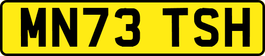 MN73TSH