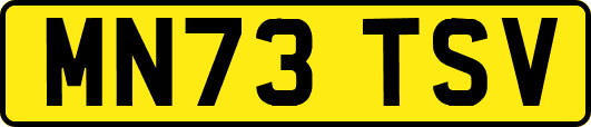 MN73TSV
