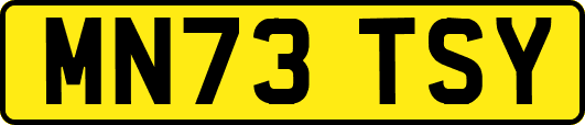 MN73TSY