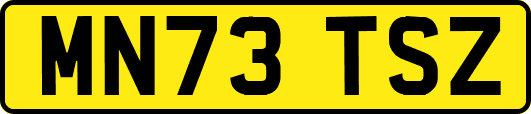 MN73TSZ