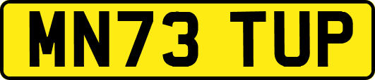 MN73TUP