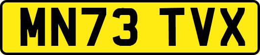 MN73TVX