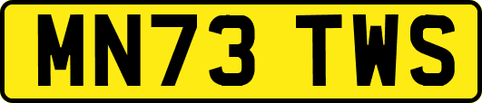 MN73TWS