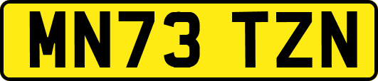 MN73TZN