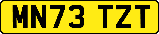MN73TZT