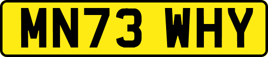 MN73WHY