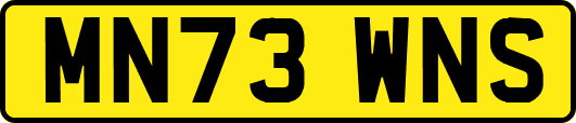 MN73WNS