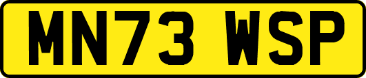 MN73WSP