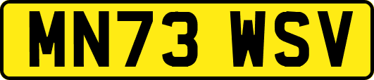 MN73WSV