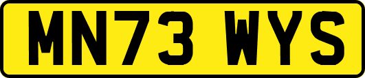 MN73WYS