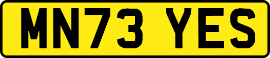MN73YES