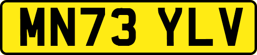 MN73YLV